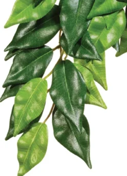 New Exo Terra Ficus (lille) Terrarieplanter