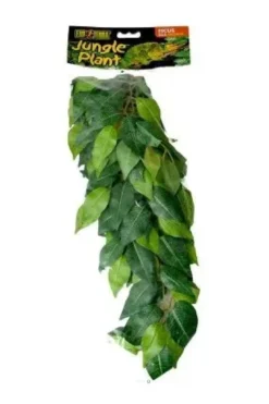 Online Exo Terra Ficus medium Terrarieplanter