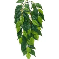 Online Exo Terra Ficus medium Terrarieplanter