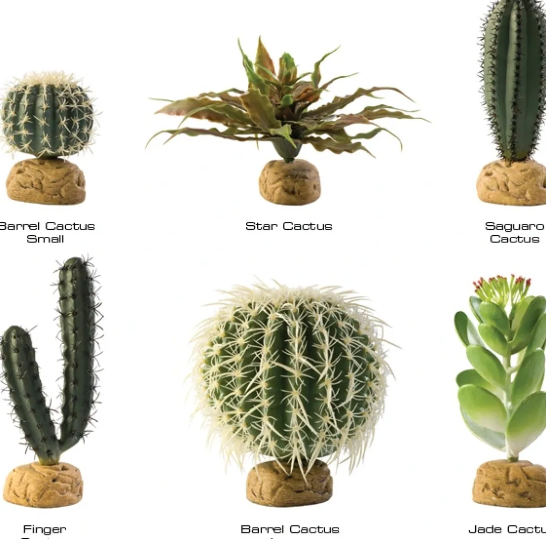 Clearance Exo Terra Finger Kaktus Terrarieplanter