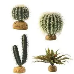 Clearance Exo Terra Finger Kaktus Terrarieplanter