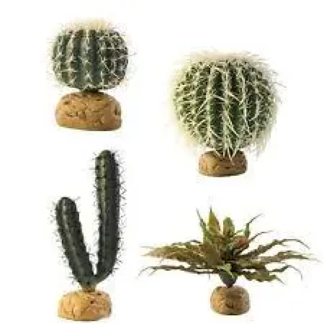Clearance Exo Terra Finger Kaktus Terrarieplanter