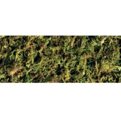 Sale Exo Terra Forest Moss 2 x 7 liter Dekoration Til Terrarier