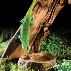 Sale Exo Terra Gecko vand og foderskål Foderskåle Og Vandskåle Til Terrarier