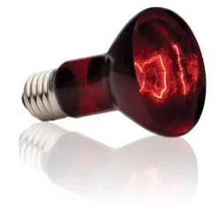 Exo Terra Heat Glo Infrarød spot 50 Watt Terrarielysstofrør, Pærer Og Varme