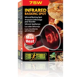 Best Exo Terra Heat Glo Infrarød spot 75 w Terrarielysstofrør, Pærer Og Varme