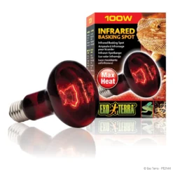 Discount Exo Terra Heat Glo Infrarød spot 100 w Terrarielysstofrør, Pærer Og Varme
