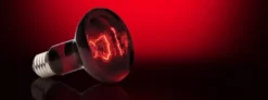 Discount Exo Terra Heat Glo Infrarød spot 100 w Terrarielysstofrør, Pærer Og Varme