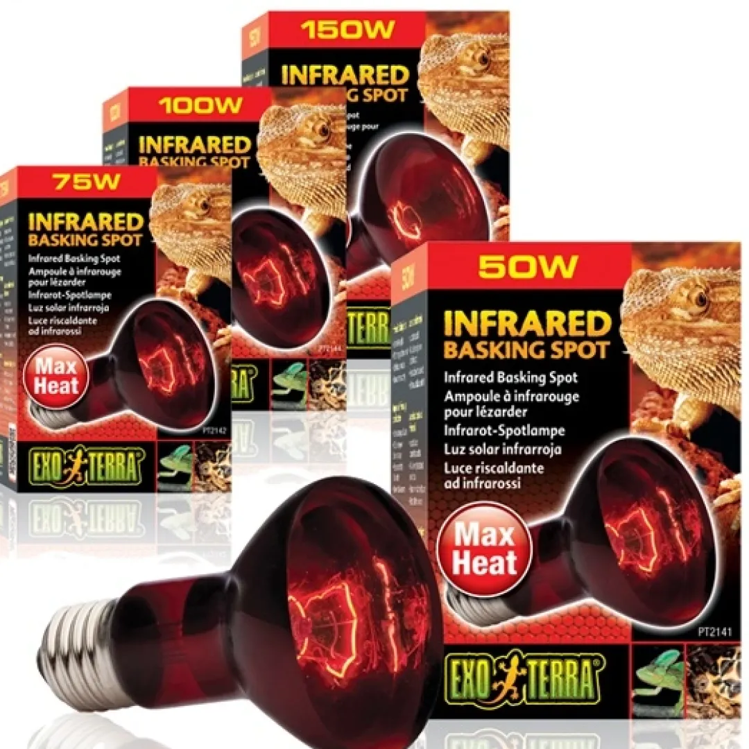 Best Exo Terra Heat Glo Infrarød spot 150 w Terrarielysstofrør, Pærer Og Varme