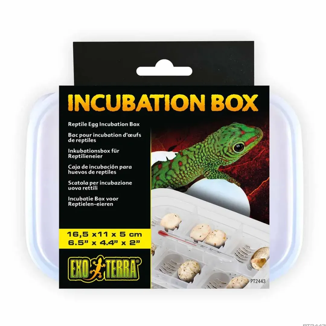 Hot Exo Terra Incubation Box - Sikker rugning af reptilæg Tilbehør Til Terrarier