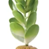 New Exo Terra Jade kaktus Terrarieplanter