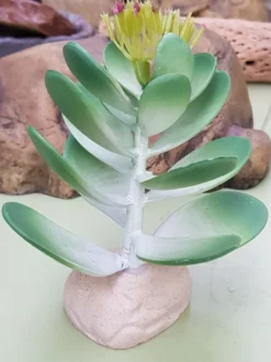 New Exo Terra Jade kaktus Terrarieplanter