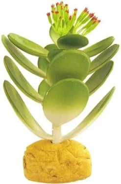 New Exo Terra Jade kaktus Terrarieplanter