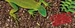 Discount Exo Terra Jungle Earth 8,8 liter Dekoration Til Terrarier