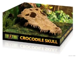 Discount Exo Terra Krokodille kranie Dekoration Til Terrarier