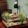 New Exo Terra Light Dome lille Terrarier Og Terrarielamper
