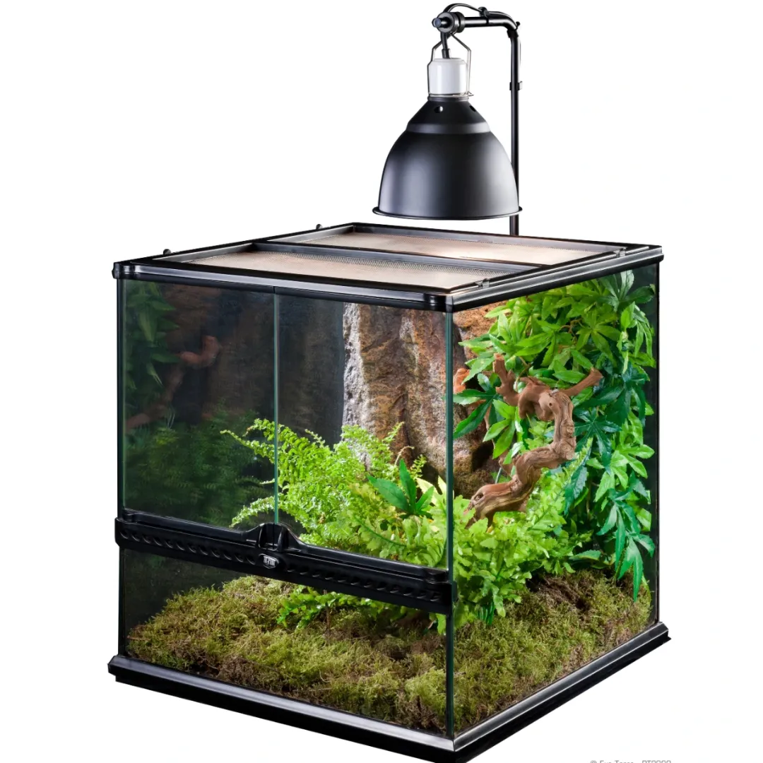 New Exo Terra Light Dome lille Terrarier Og Terrarielamper