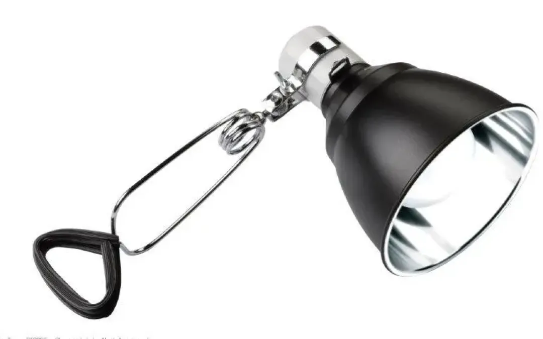 New Exo Terra Light Dome lille Terrarier Og Terrarielamper