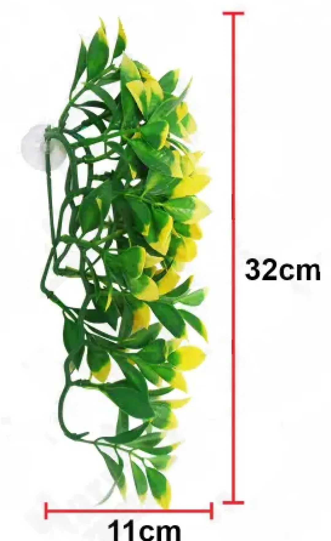 Sale Exo Terra Mandarin lille Terrarieplanter