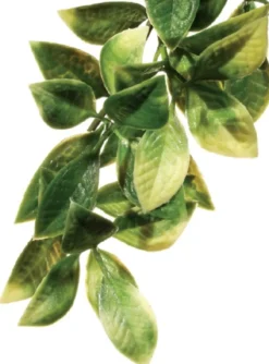 Sale Exo Terra Mandarin lille Terrarieplanter