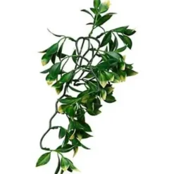 New Exo Terra Mandarin medium Terrarieplanter