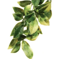 New Exo Terra Mandarin medium Terrarieplanter