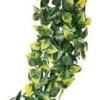 Hot Exo Terra Mandarin stor Terrarieplanter