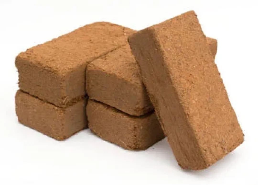 Sale Exo Terra Plantation Soil 650 g x 3 Dekoration Til Terrarier