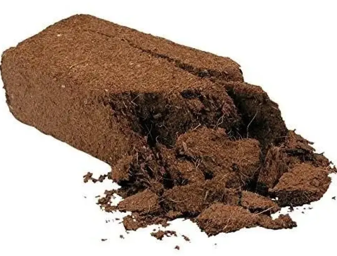 Sale Exo Terra Plantation Soil 650 g x 3 Dekoration Til Terrarier