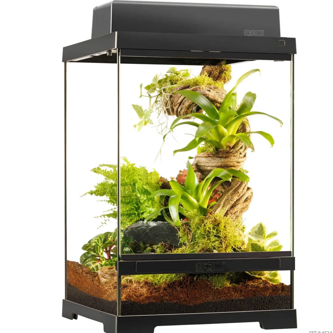 Hot Pro Terrarium X-Small Tall 30x30x45 cm 41 Liter Terrarier Og Terrarielamper