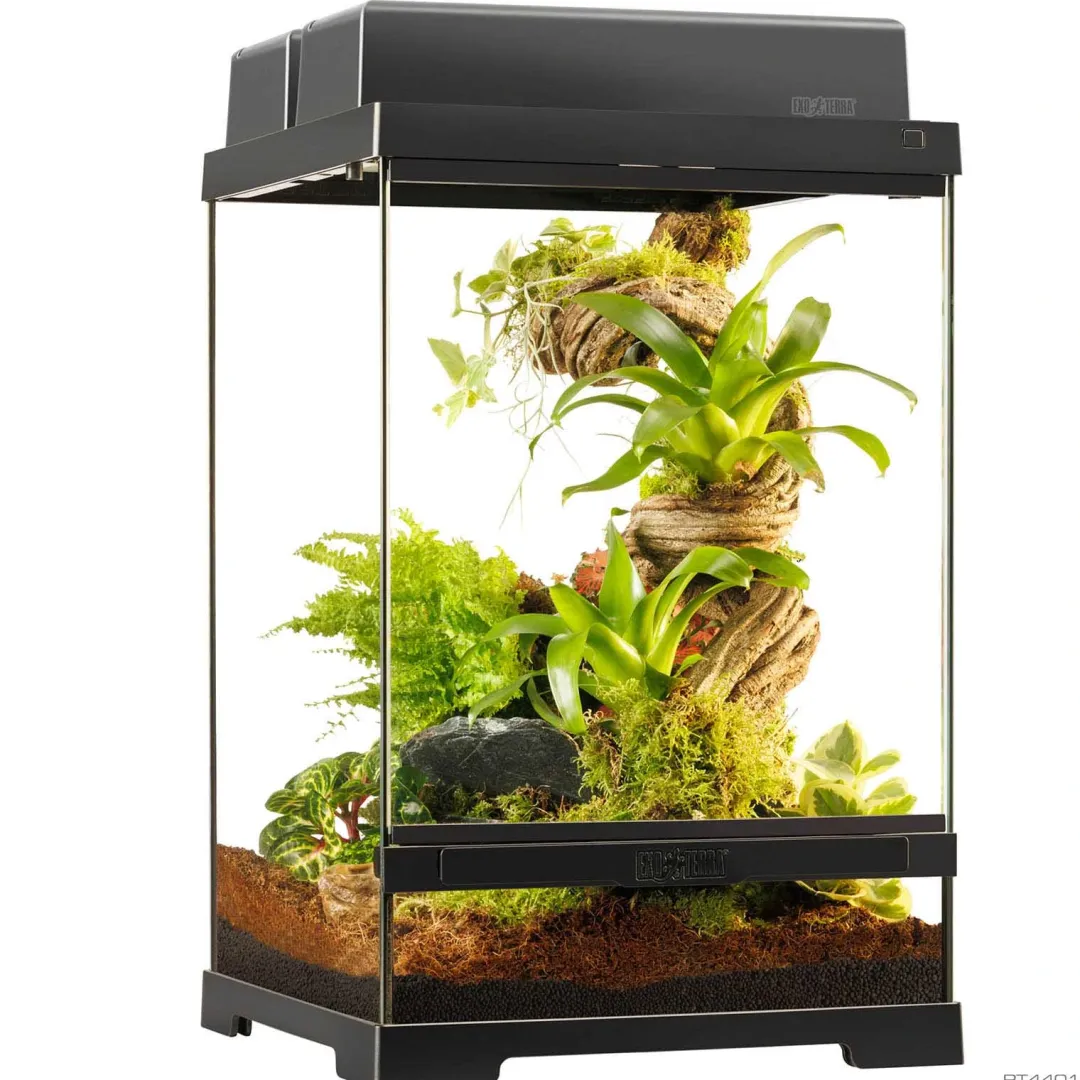 Hot Pro Terrarium X-Small Tall 30x30x45 cm 41 Liter Terrarier Og Terrarielamper