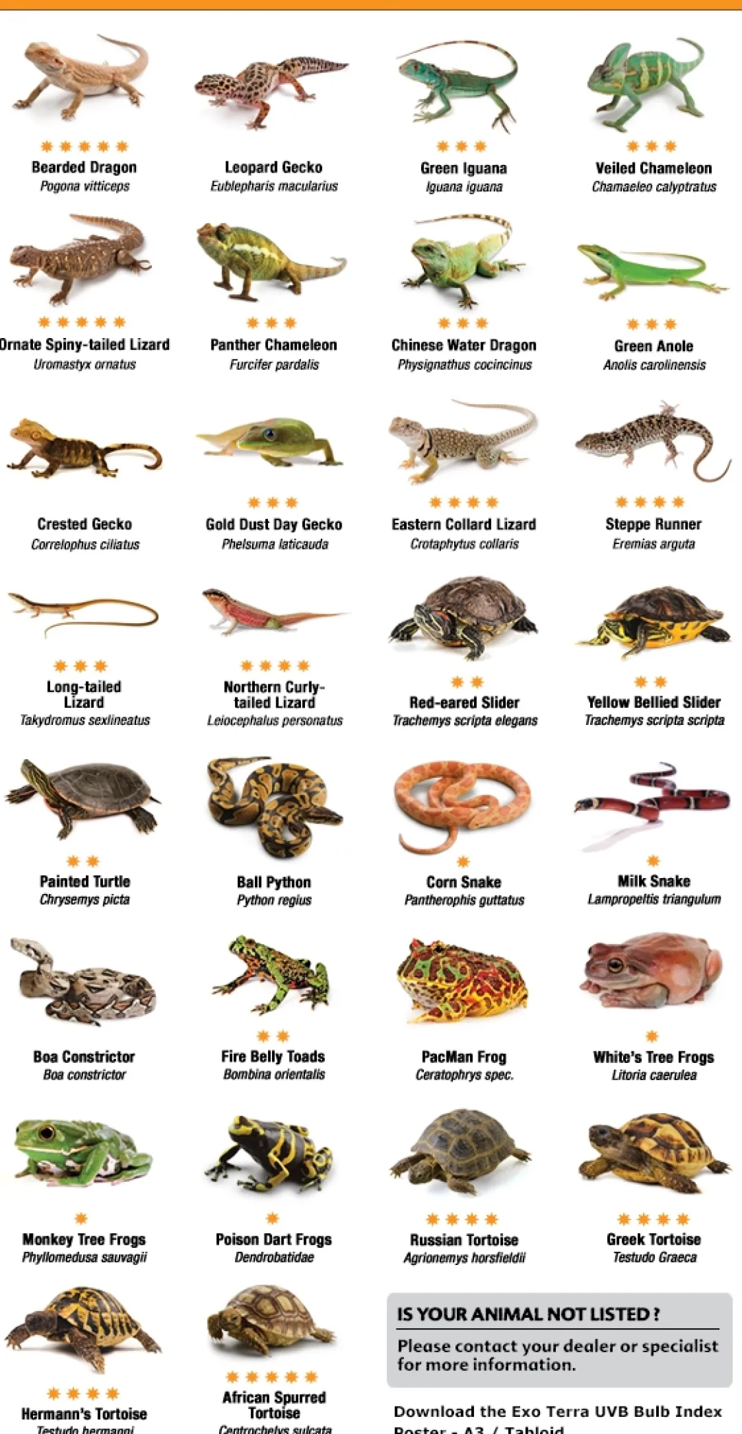Exo Terra Repti Glo UVB 100 (5,0) 40 watt 105 cm Terrarielysstofrør, Pærer Og Varme