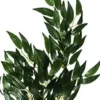 New Exo Terra Ruscus lille Terrarieplanter