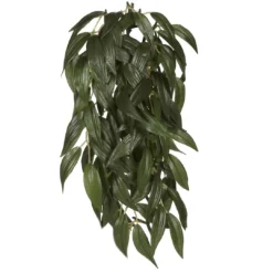 New Exo Terra Ruscus lille Terrarieplanter