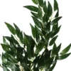 New Exo Terra Ruscus medium Terrarieplanter