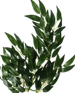 New Exo Terra Ruscus medium Terrarieplanter