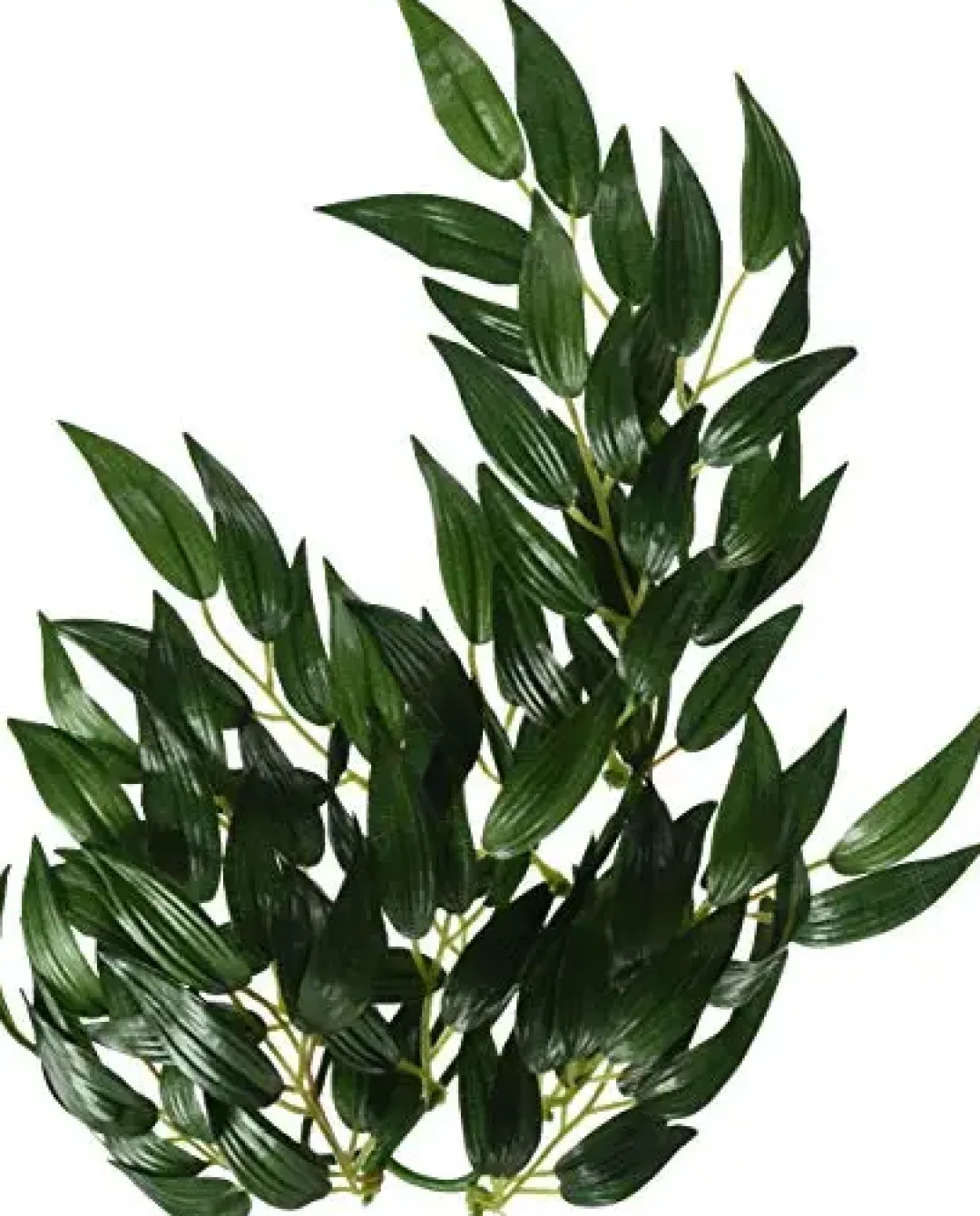 New Exo Terra Ruscus medium Terrarieplanter