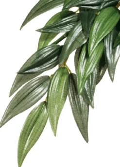 New Exo Terra Ruscus medium Terrarieplanter