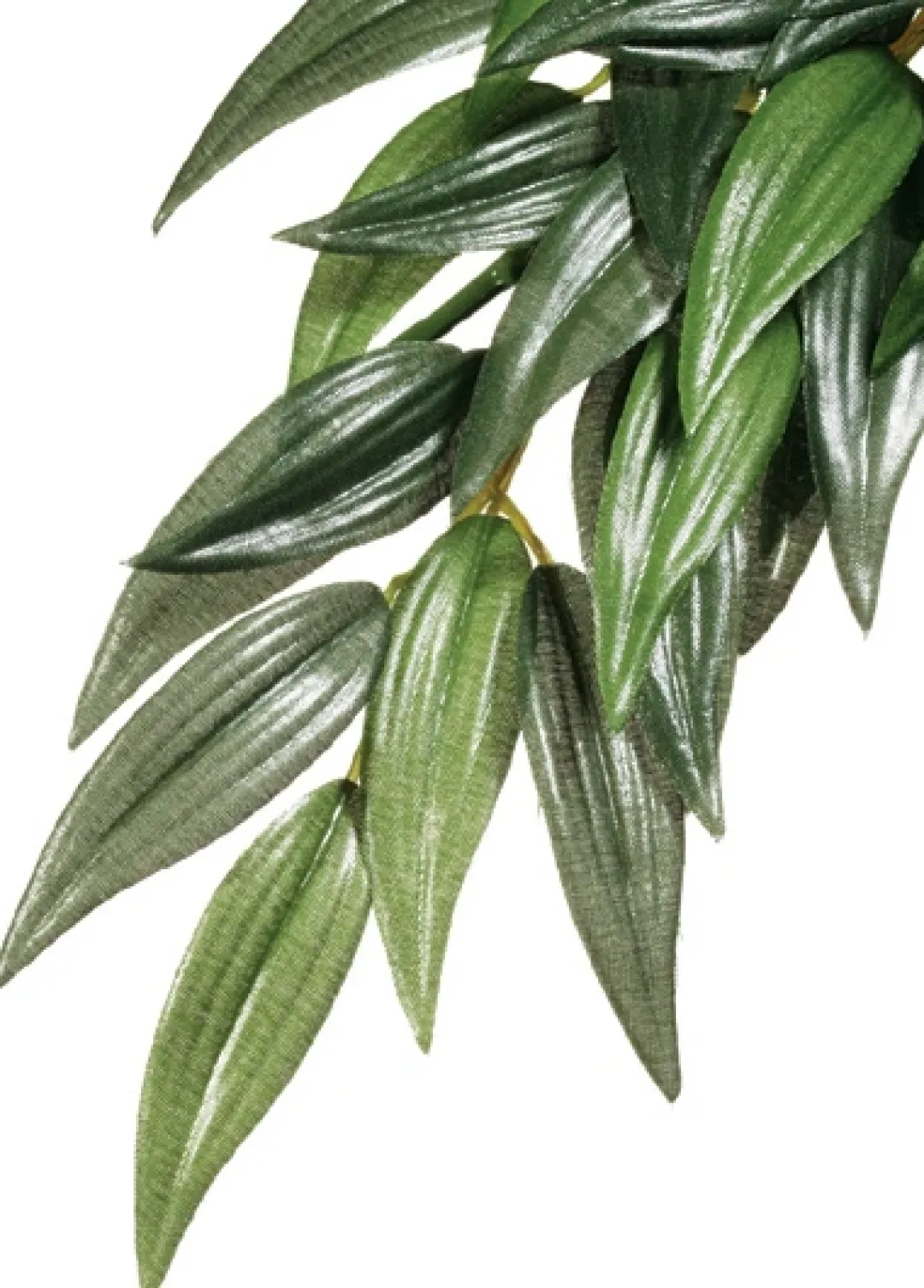 New Exo Terra Ruscus medium Terrarieplanter
