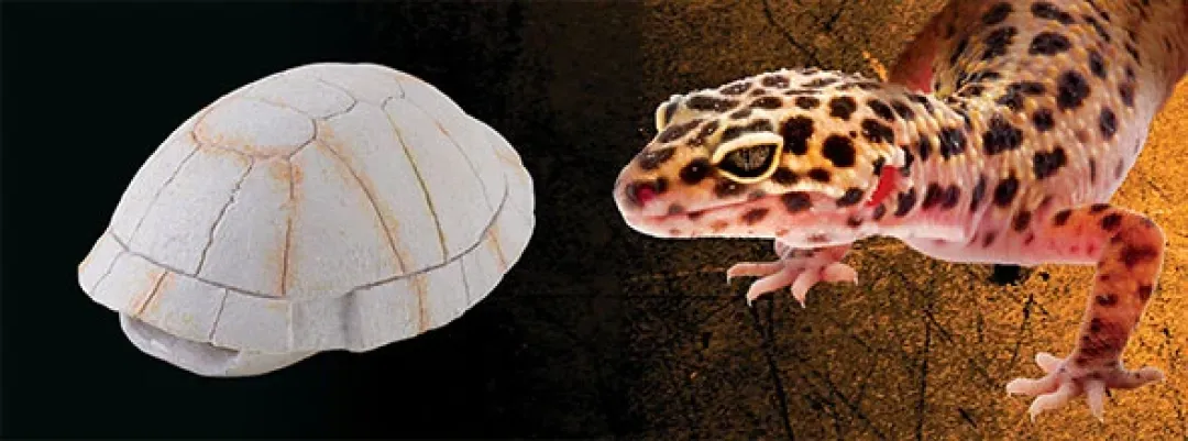 Outlet Exo Terra Skildpaddeskjold lille Huler Til Terrarier