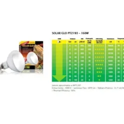 Best Exo Terra Solar Glo UVB kompakt pære 160 w Terrarielysstofrør, Pærer Og Varme