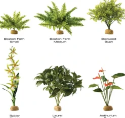 Outlet Exo Terra Spider Orkide Terrarieplanter