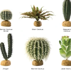 New Exo Terra Star Cactus Terrarieplanter
