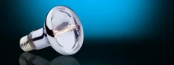 Best Exo Terra Sun Glo Halogen 150 watt Terrarielysstofrør, Pærer Og Varme