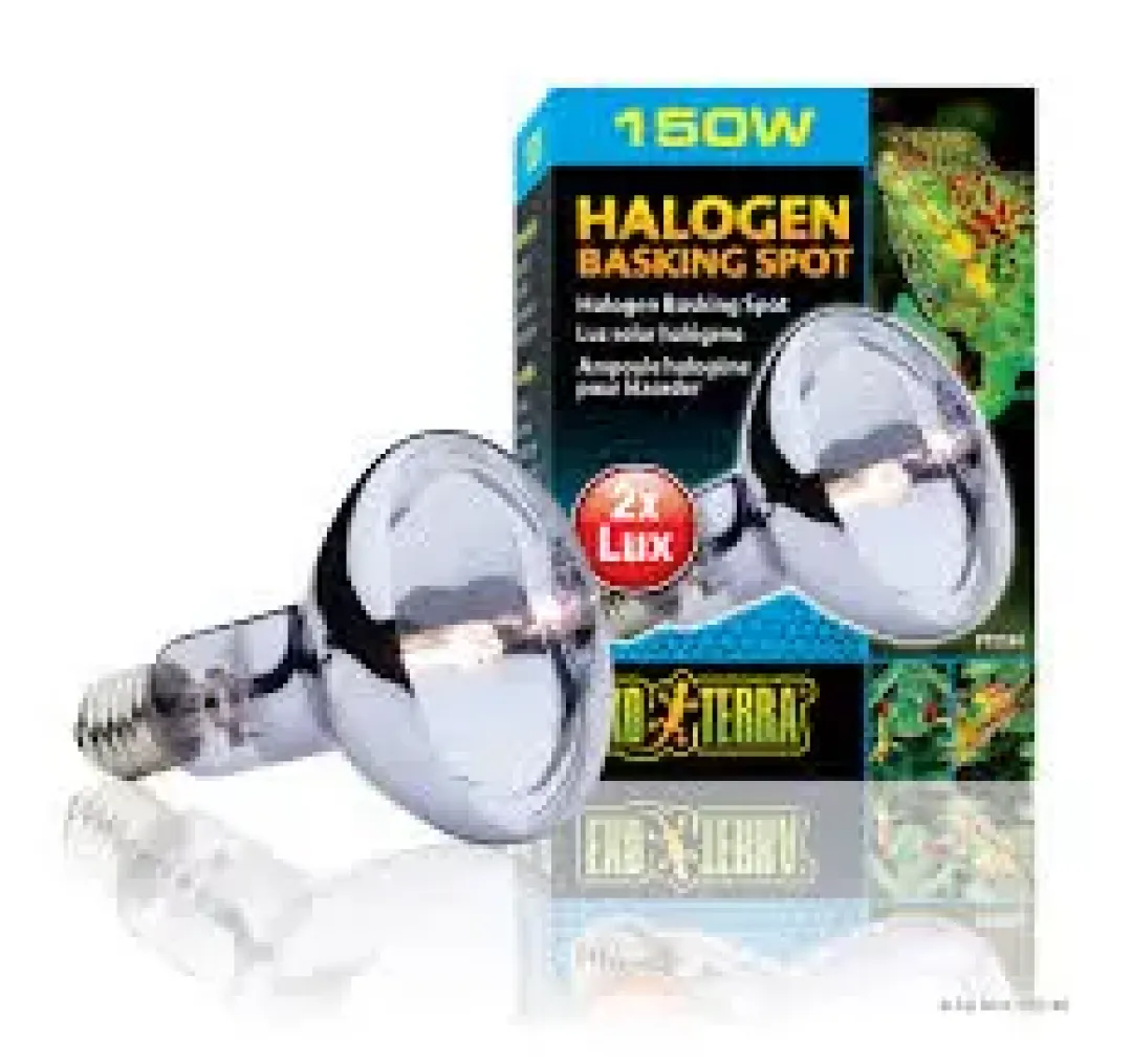 Best Exo Terra Sun Glo Halogen 150 watt Terrarielysstofrør, Pærer Og Varme