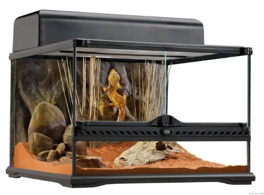Best Terrarium 45x45x30 cm 61 Liter Terrarier Og Terrarielamper