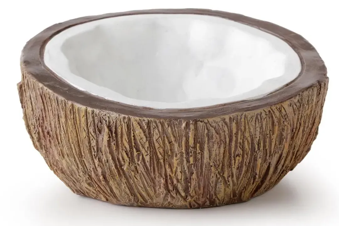 Online Tiki Kokosnød Vandskål 10x10x5 cm Foderskåle Og Vandskåle Til Terrarier