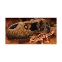 Clearance Exo Terra T-REX Kranie Dekoration Til Terrarier