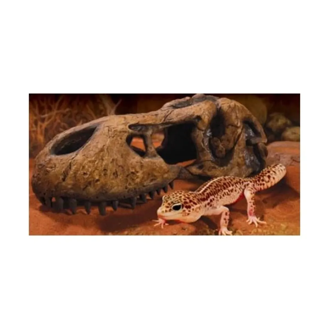 Clearance Exo Terra T-REX Kranie Dekoration Til Terrarier