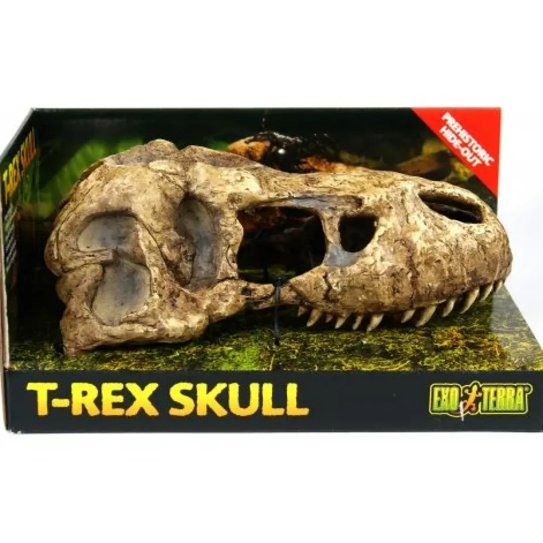 New Exo Terra T-Rex kranie lille Huler Til Terrarier